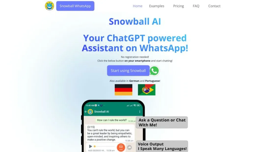 Snowball AI